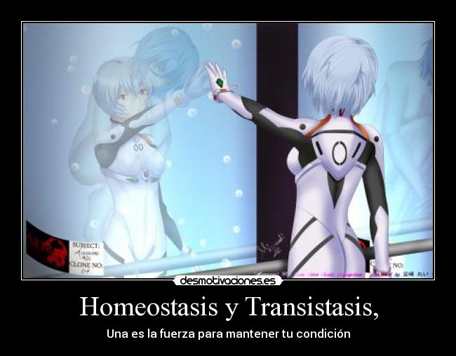 Homeostasis y Transistasis, -