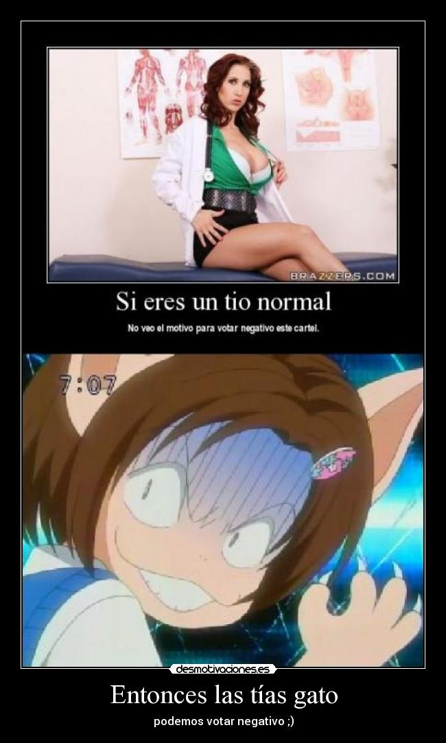 Entonces las tías gato -