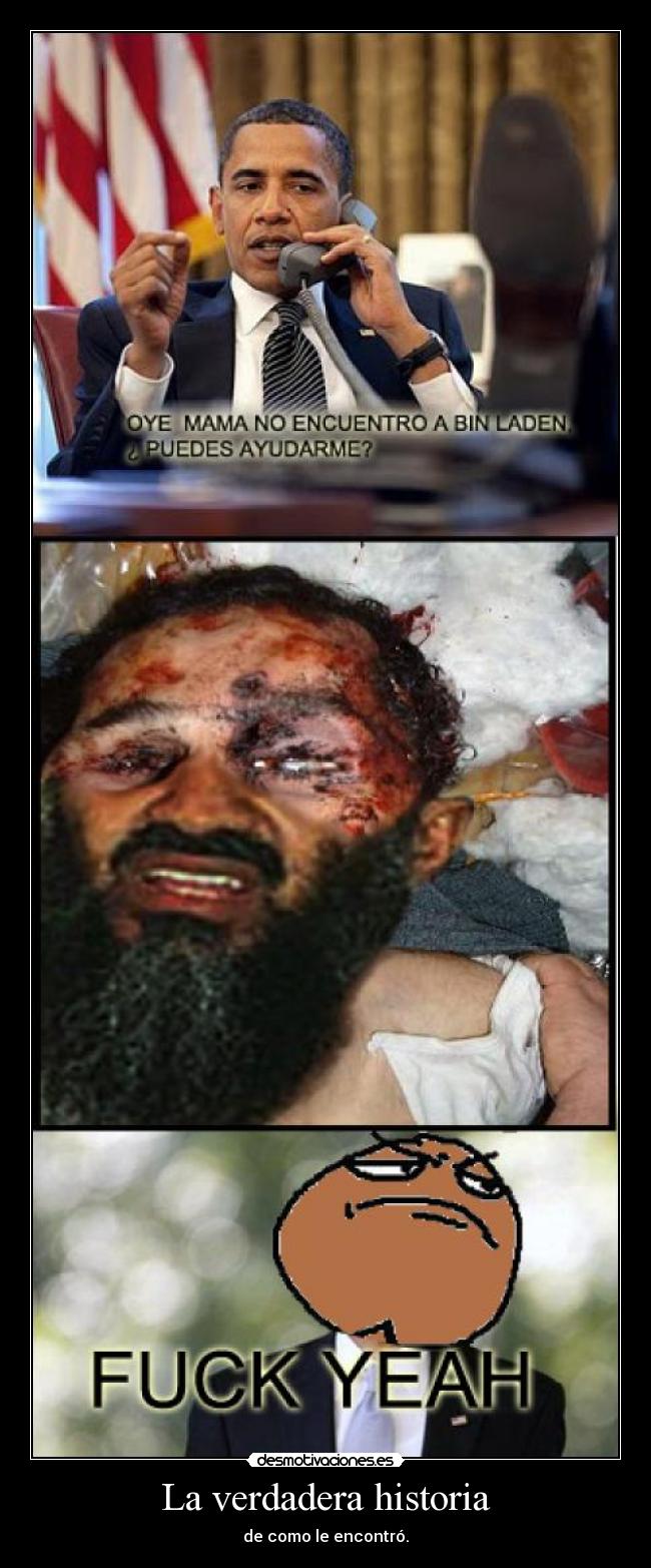 carteles historia madres bin lande desmotivaciones