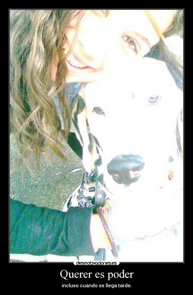 carteles isa bardisa desmotivaciones