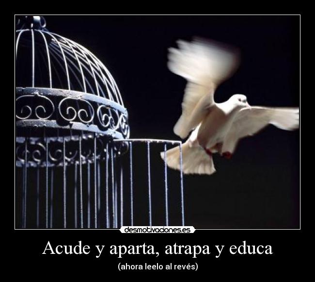 Acude y aparta, atrapa y educa - (ahora leelo al revés)