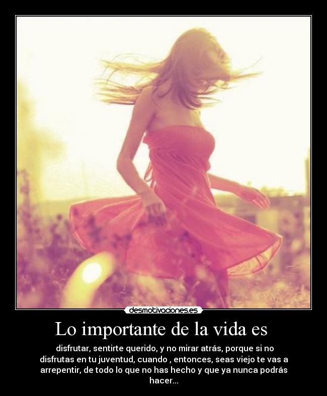 carteles vida vida desmotivaciones