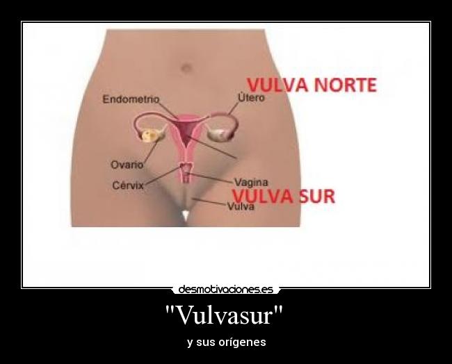 Vulvasur  - y sus orígenes
