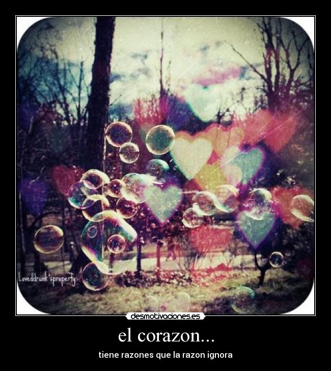 el corazon... -