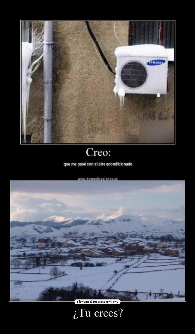 ¿Tu crees? -