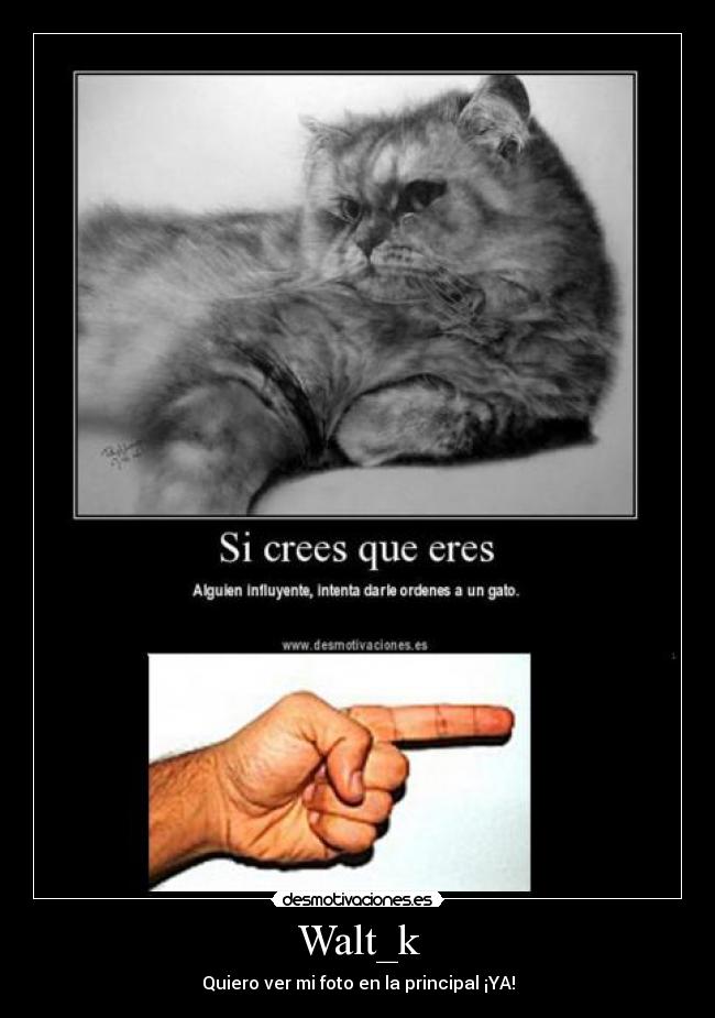 Walt_k -