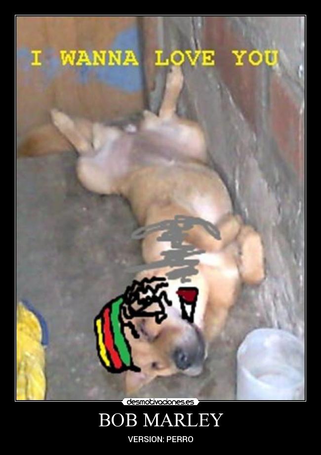 BOB MARLEY - VERSION: PERRO