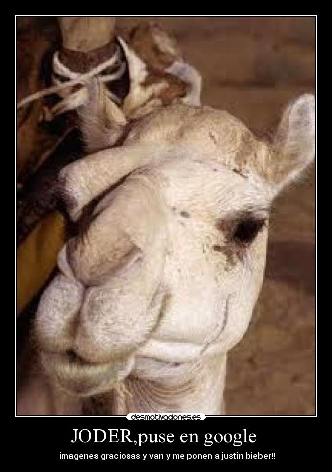 carteles positivotodo desmotivaciones