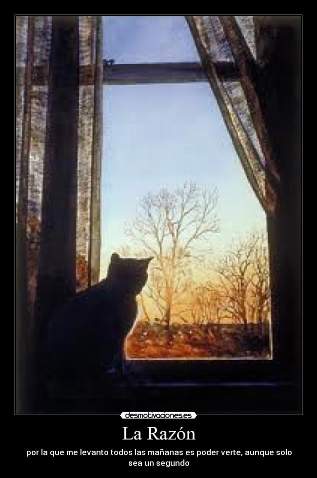 La Razón - por la que me levanto todos las mañanas es poder verte, aunque solo sea un segundo