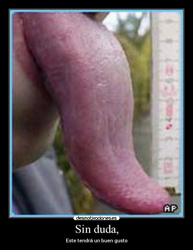 Sin duda, - Este tendrá un buen gusto