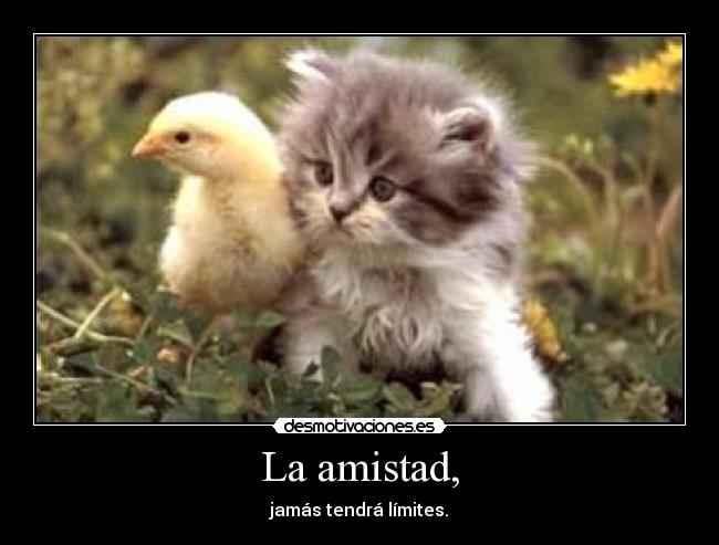 La amistad, - jamás tendrá límites.
