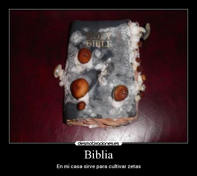 Biblia -