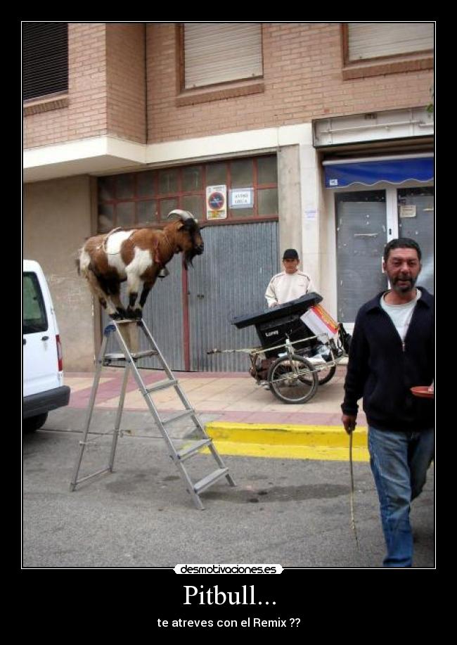 Pitbull... - te atreves con el Remix ??