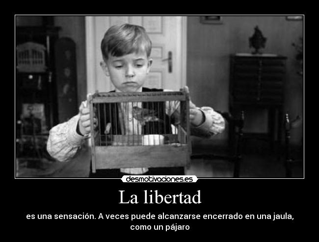 La libertad - es una sensación. A veces puede alcanzarse encerrado en una jaula, como un pájaro