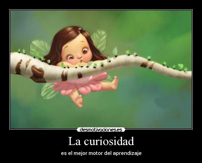 La curiosidad - 