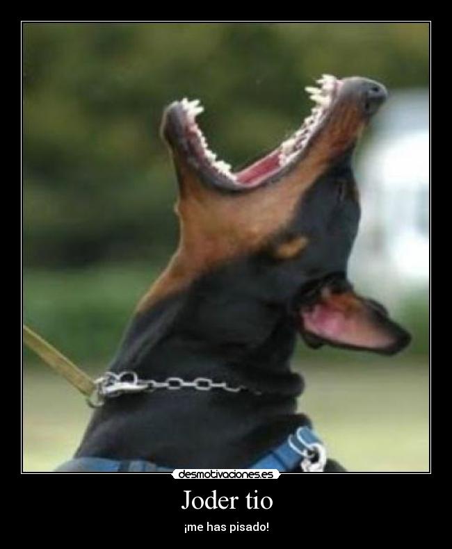 carteles surth desmotivaciones