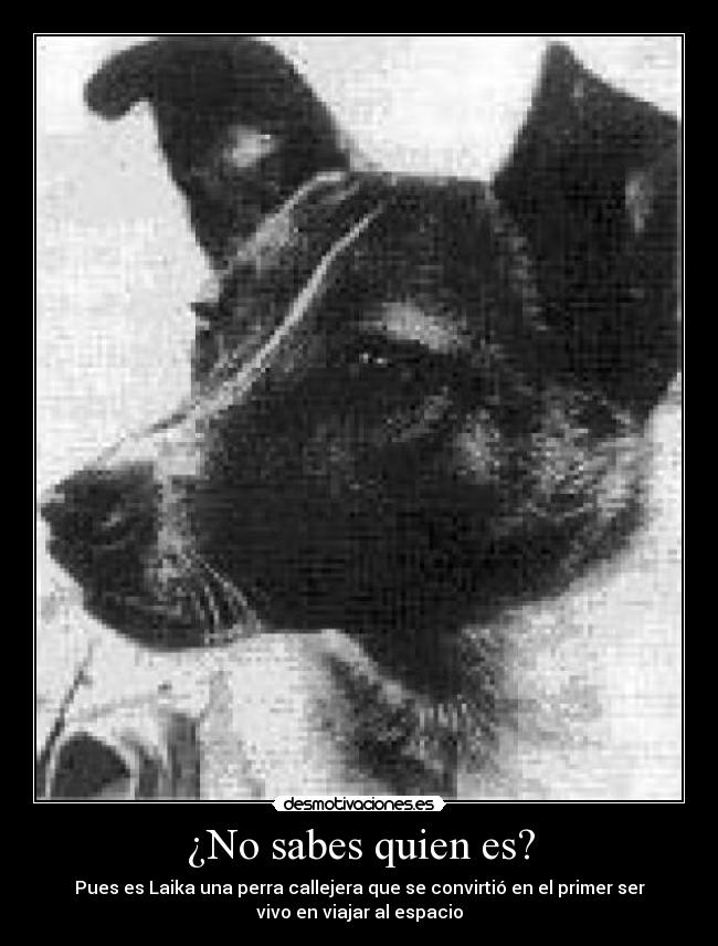 ¿No sabes quien es? -