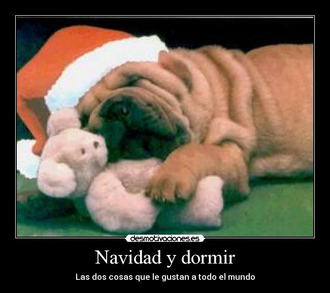 Navidad y dormir -