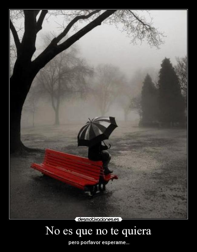 No es que no te quiera -