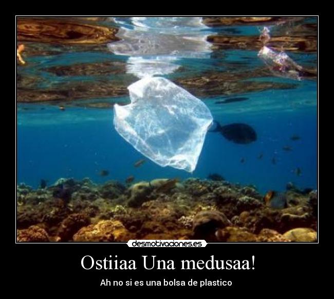 Ostiiaa Una medusaa! -