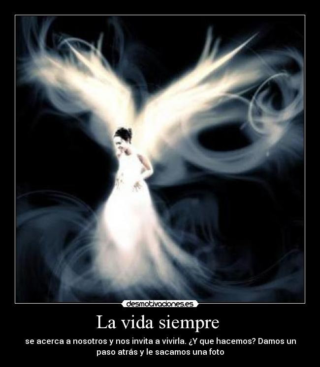 La vida siempre - se acerca a nosotros y nos invita a vivirla. ¿Y que hacemos? Damos un
paso atrás y le sacamos una foto