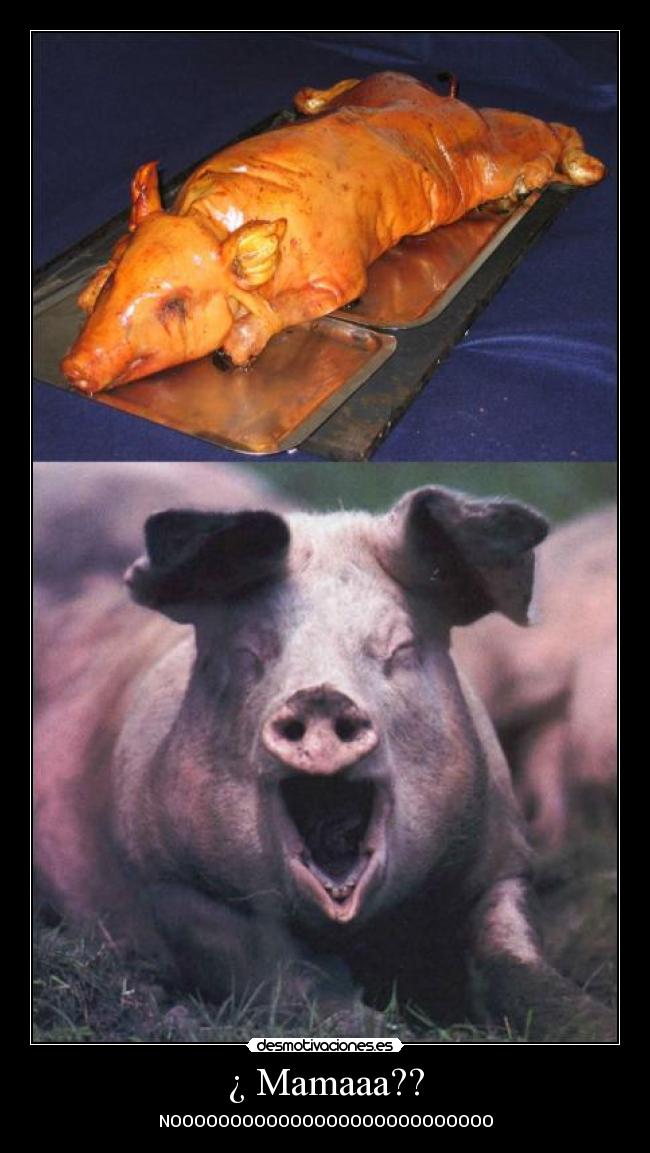¿ Mamaaa?? - NOOOOOOOOOOOOOOOOOOOOOOOOOOO