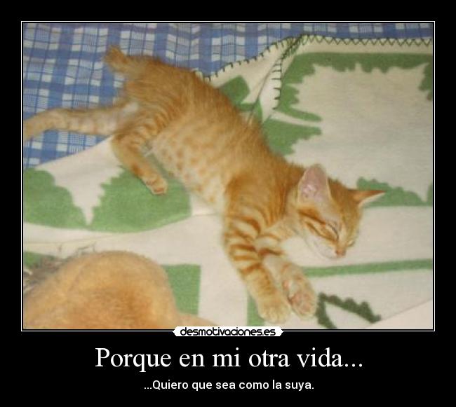 Porque en mi otra vida... - 