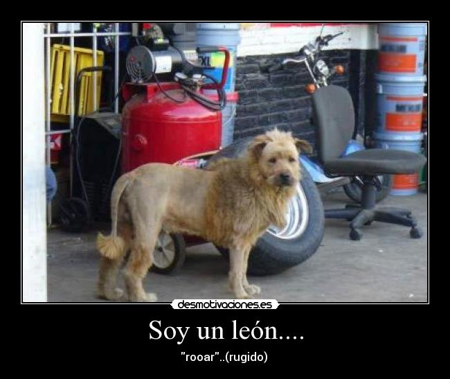 Soy un león.... - rooar..(rugido) 