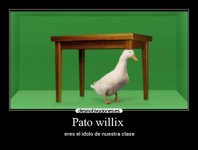 Pato willix - eres el idolo de nuestra clase