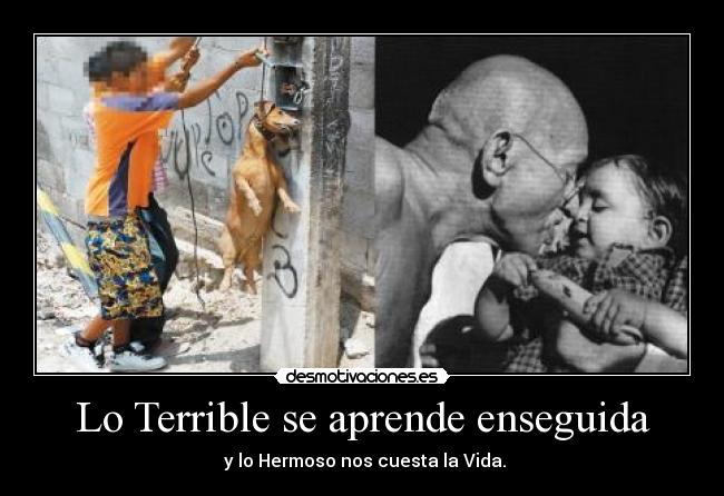Lo Terrible se aprende enseguida - y lo Hermoso nos cuesta la Vida.