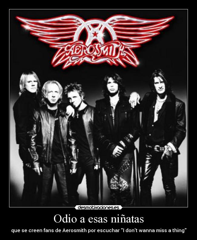 Odio a esas niñatas - que se creen fans de Aerosmith por escuchar I dont wanna miss a thing