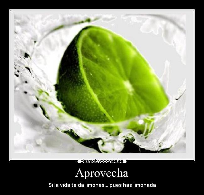 Aprovecha - Si la vida te da limones... pues has limonada