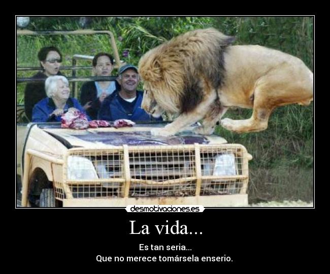 La vida... - 