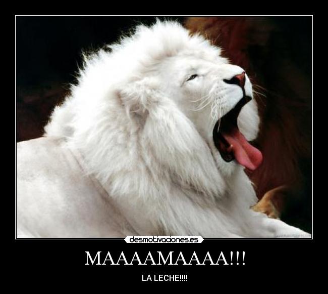 MAAAAMAAAA!!! - LA LECHE!!!!