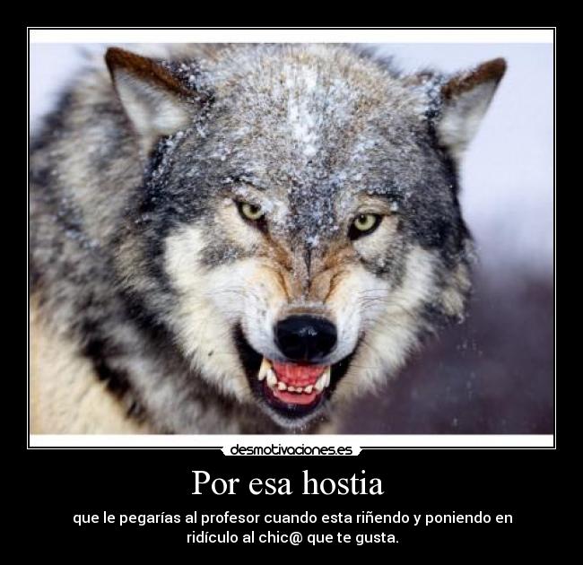Por esa hostia - que le pegarías al profesor cuando esta riñendo y poniendo en
ridículo al chic@ que te gusta.