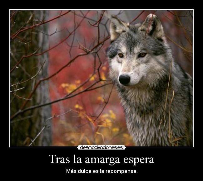 carteles amarga espera recompensa dulce desmotivaciones