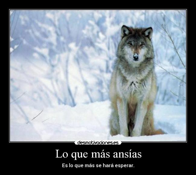 Lo que más ansías - 