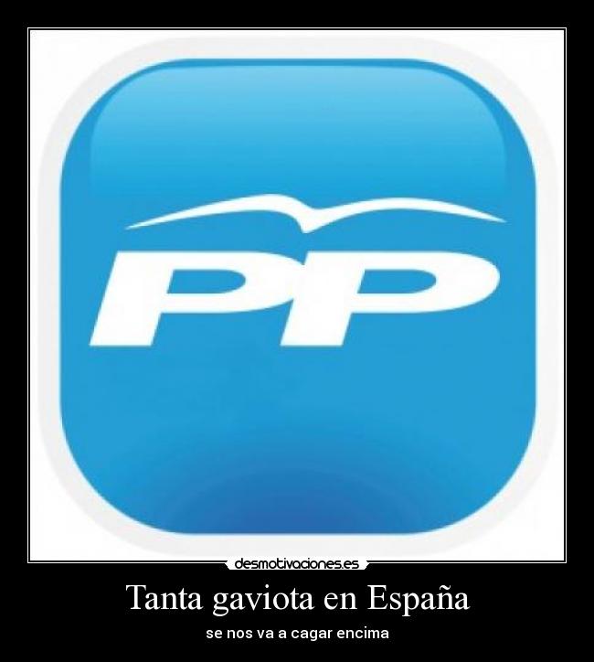 Tanta gaviota en España - se nos va a cagar encima