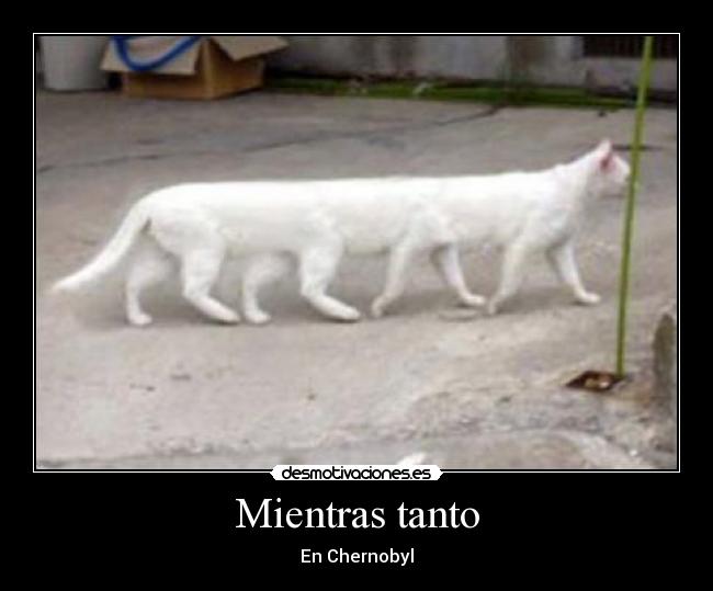 Mientras tanto - En Chernobyl