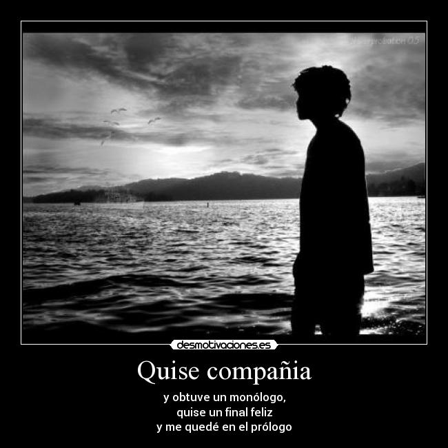 Quise compañia - 