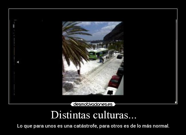 carteles catastrofes chistoso gigante coches paseando desmotivaciones