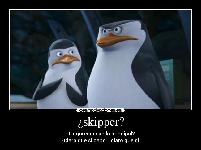 carteles pinguinos madagascar principal chiste desmotivaciones