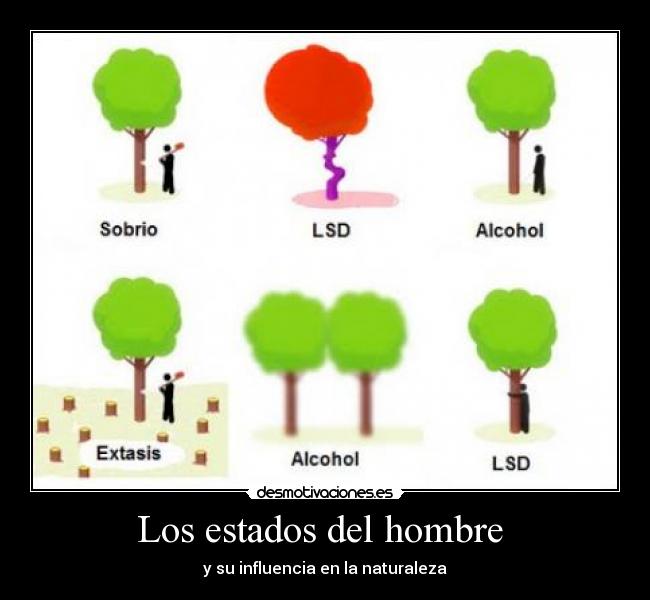 carteles wwwdesmotivacioneses desmotivaciones