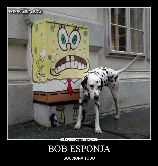 BOB ESPONJA -