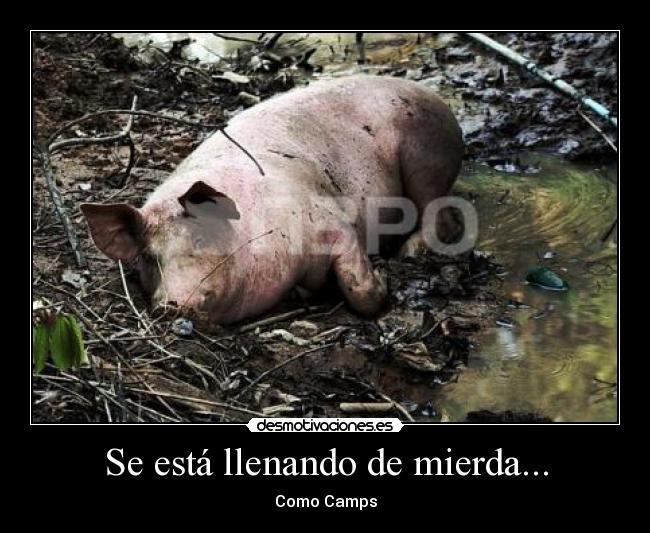 carteles llenando mierda camps desmotivaciones