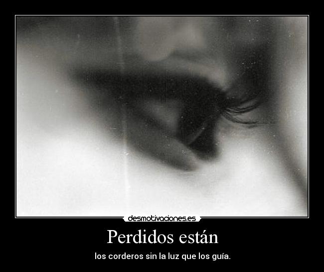 Perdidos están - los corderos sin la luz que los guía.