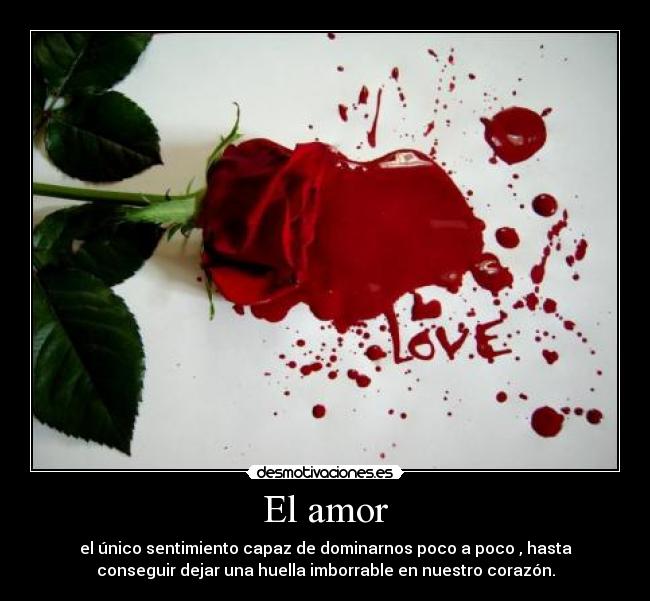 El amor - 