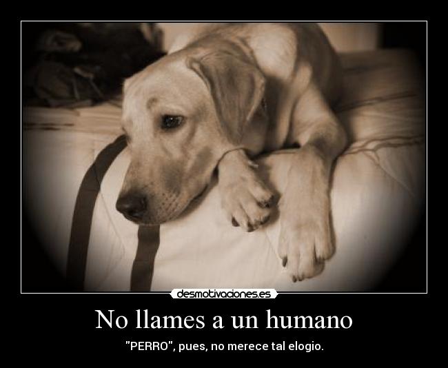 No llames a un humano -