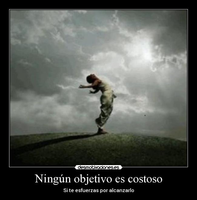 Ningún objetivo es costoso -