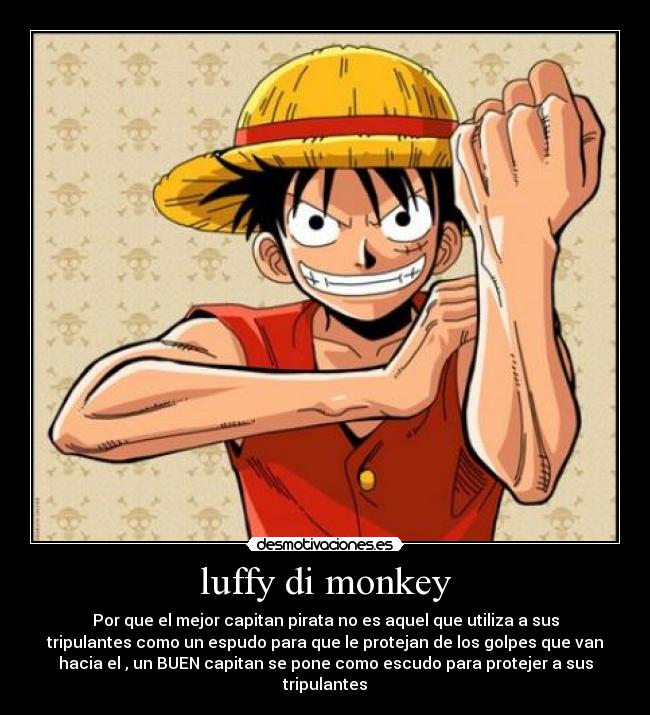 luffy di monkey -